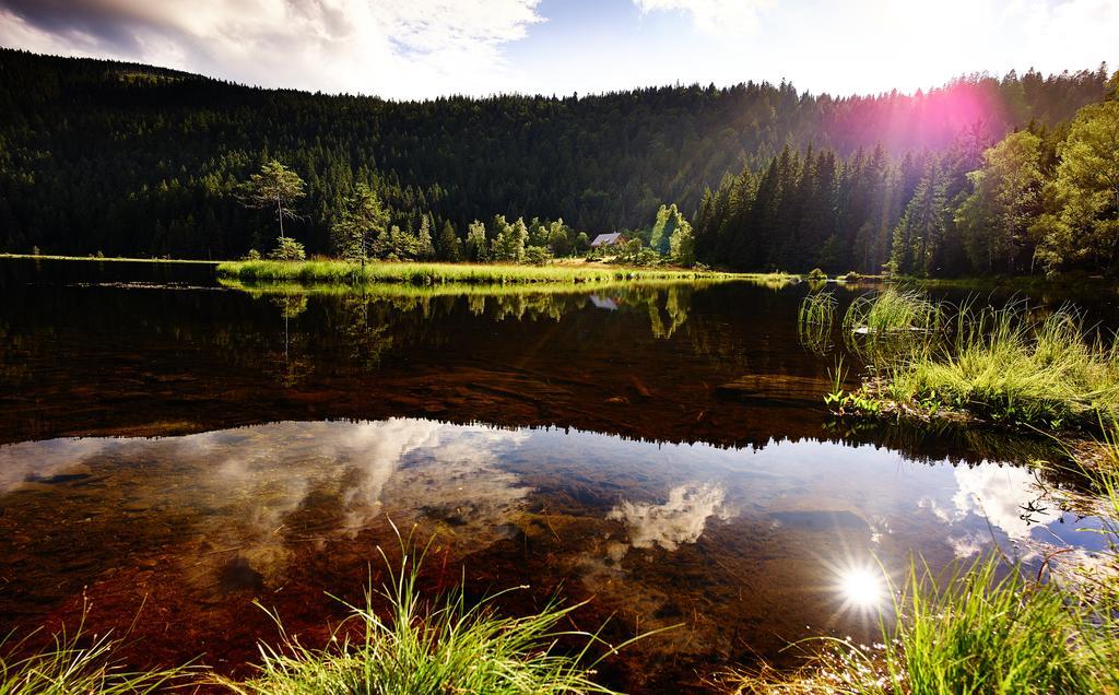 Ferienhotel Hubertus Боденмайс Екстер'єр фото